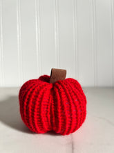 Load image into Gallery viewer, NEW Cozy Mini Pumpkins